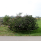 Image for article titled Revisiting the Small Village That Was Completely Devastated By Toxic Red Sludge